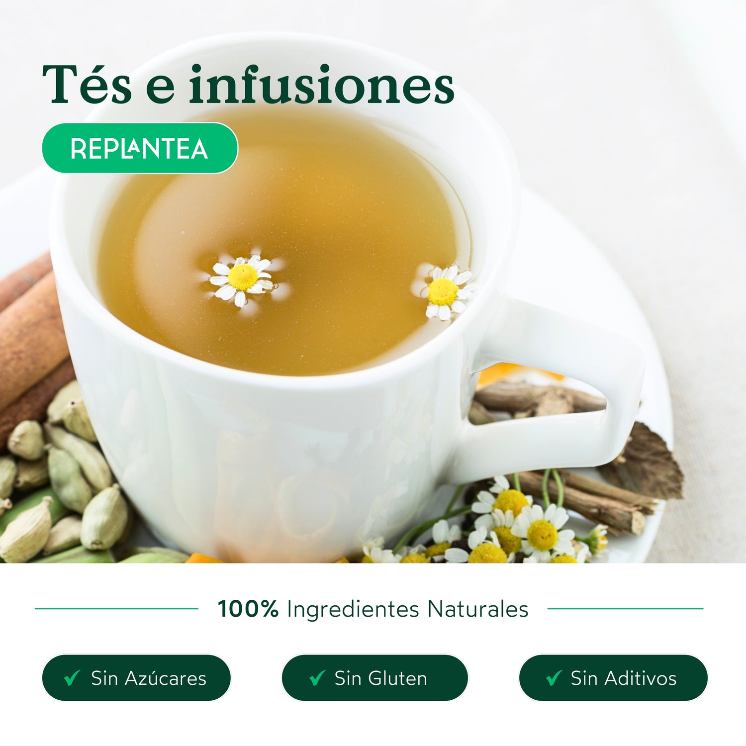 Té Verde Detox Ecológico 100g