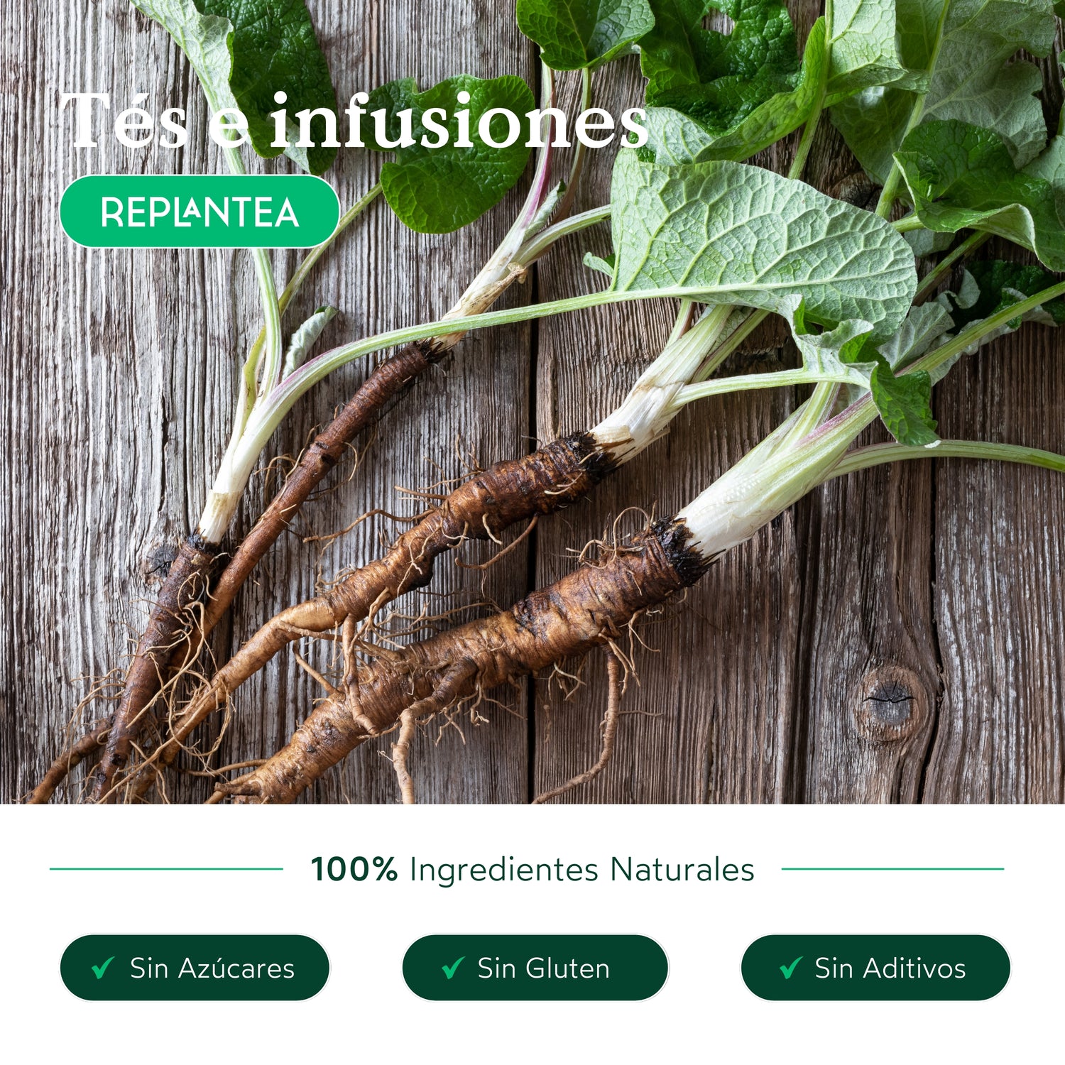 Organic Burdock Root Infusion 200g