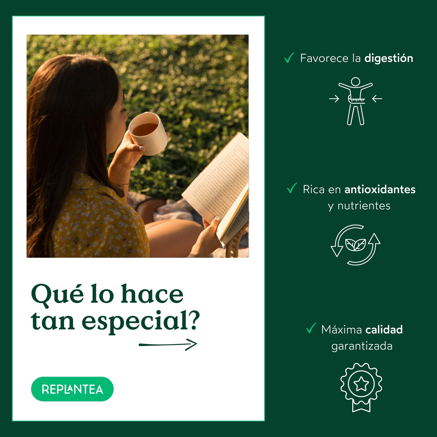 Infusión de Jengibre Raíz Pura Ecológica 100g