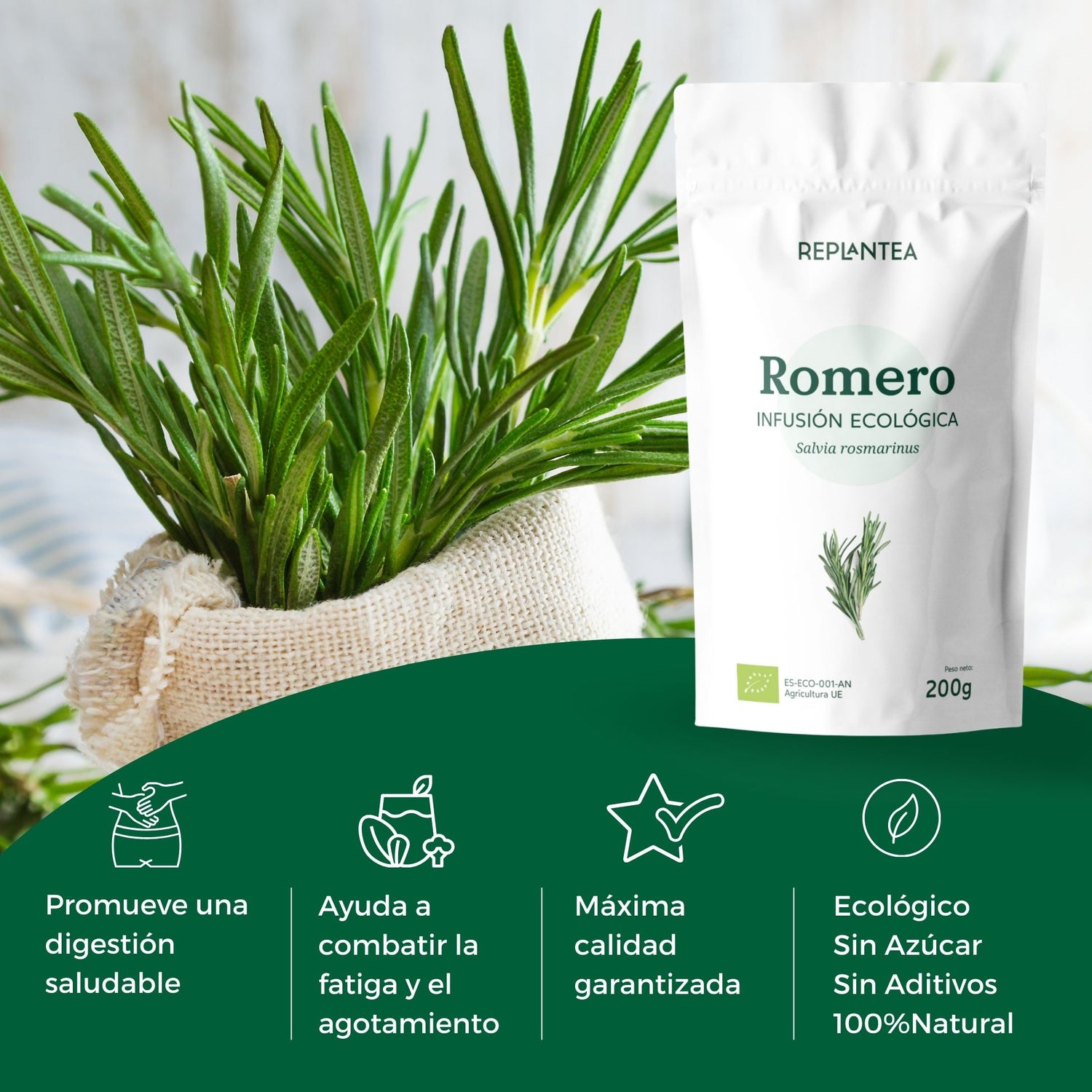 Infusão de Alecrim Orgânico 200g