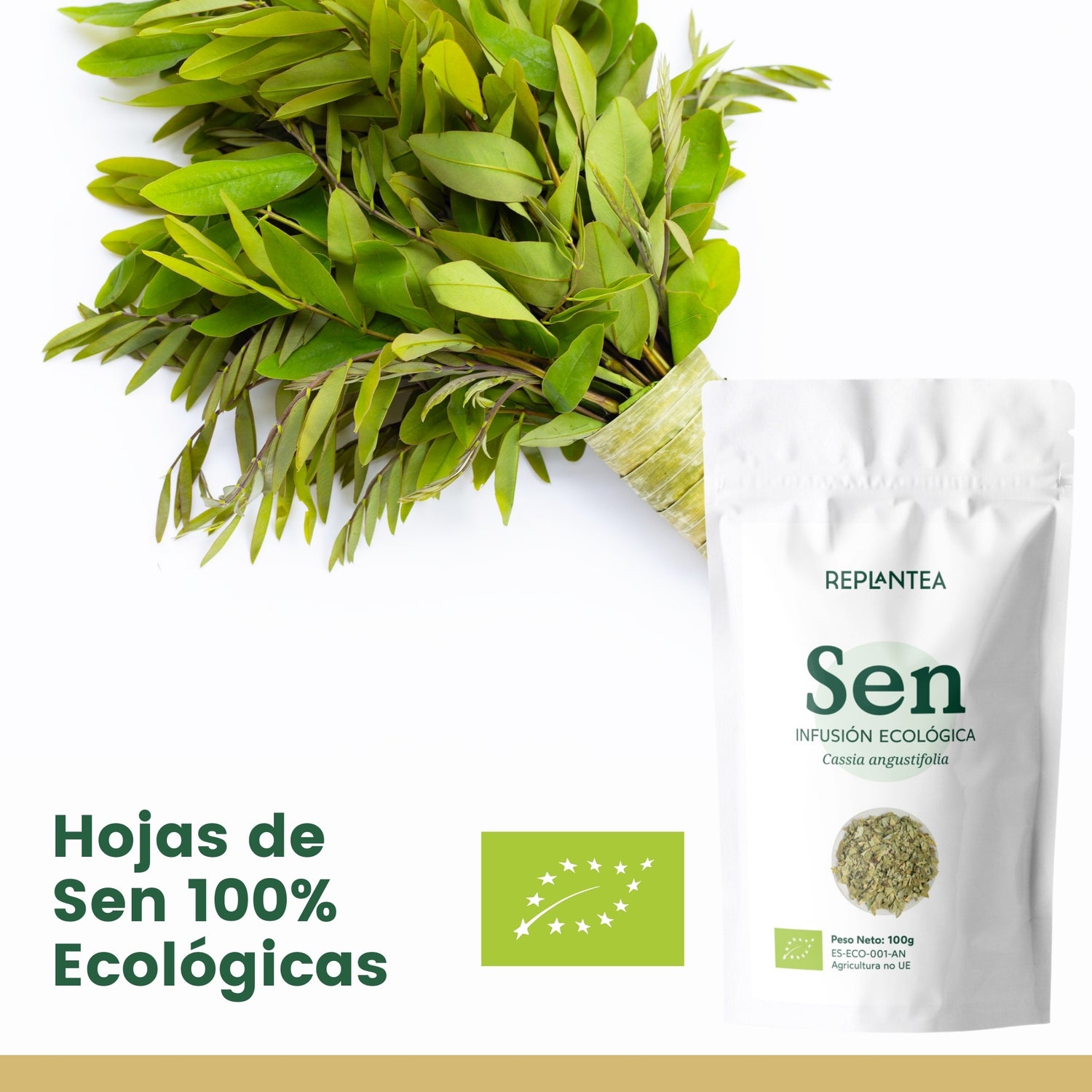 Infusão de Senna - Folhas de Senna Orgânicas 100g