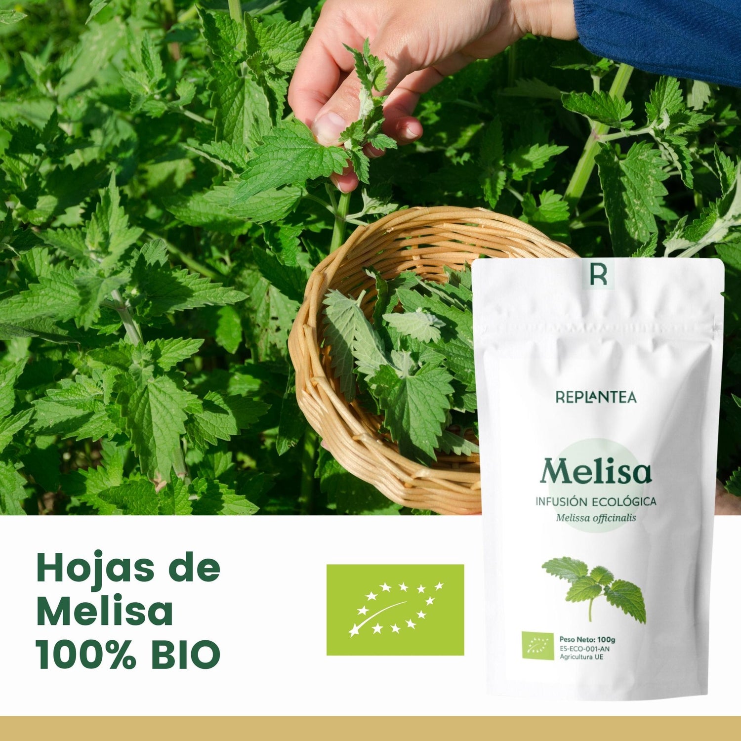 Infusión de Melisa Ecológica 100g