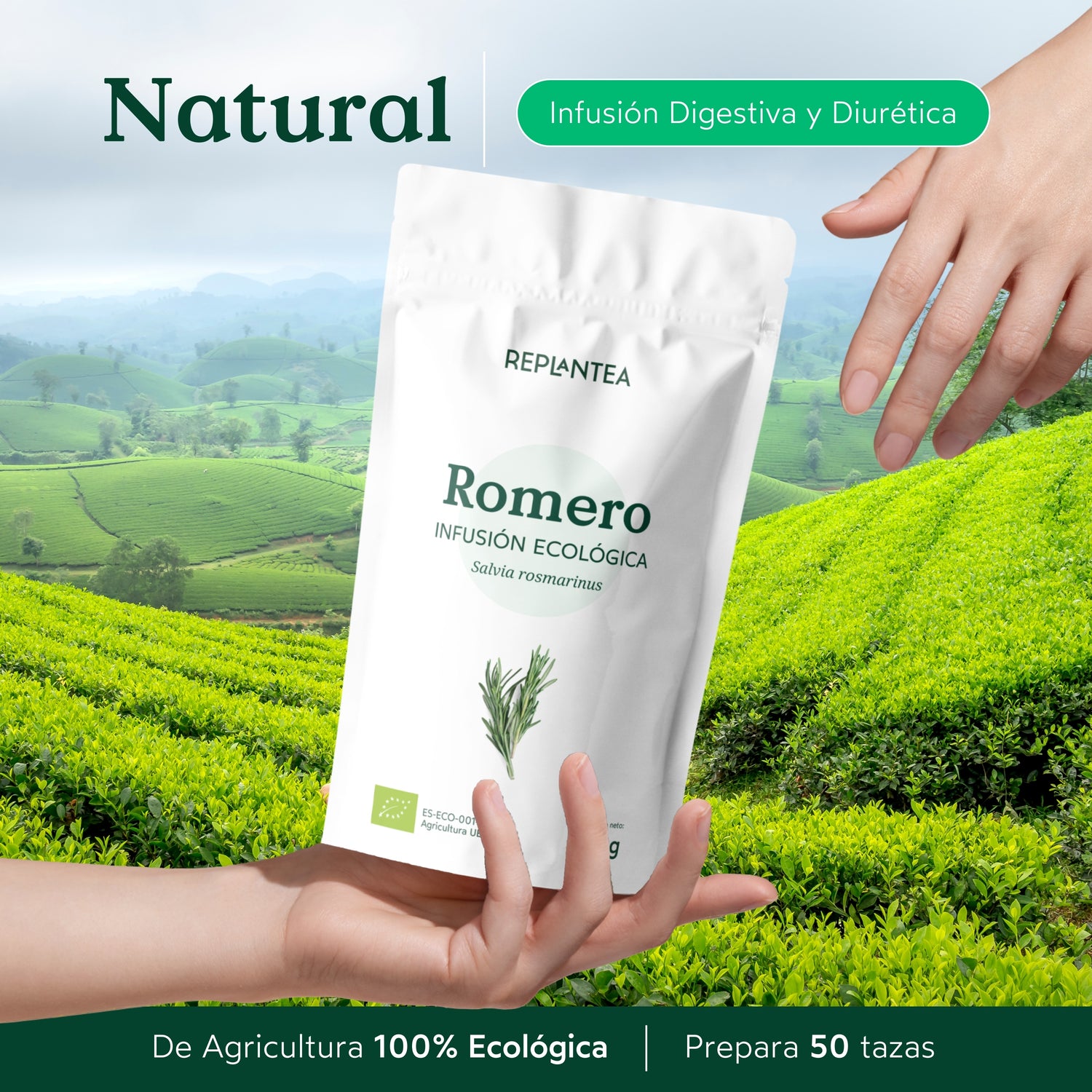 Organic Rosemary Infusion 200g