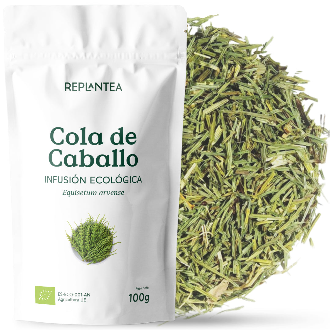 Infusão de Cavalinha Orgânica 100g