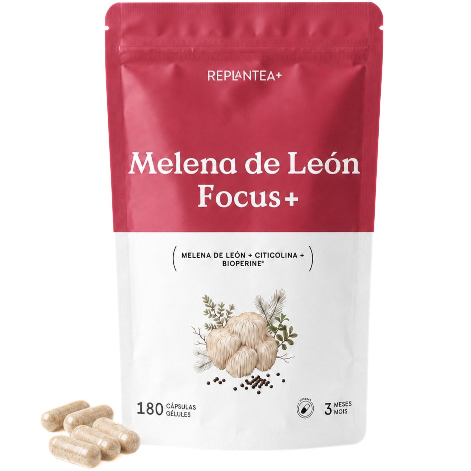 Melena de León Focus+ · Extracto 15:1 (Hericium erinaceus) con Citicolina y BioPerine · 180 cápsulas veganas
