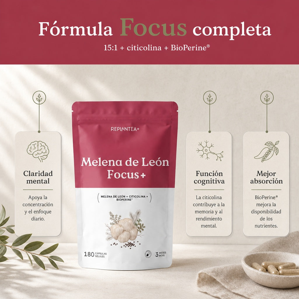 Melena de León Focus+ · Extracto 15:1 (Hericium erinaceus) con Citicolina y BioPerine · 180 cápsulas veganas