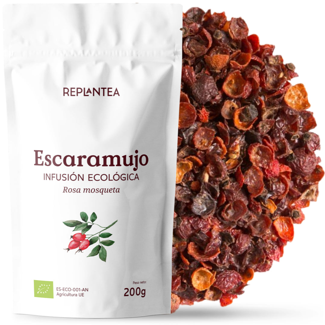 Infusão de raiz de bardana biológica 200g