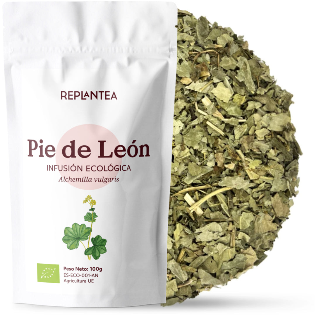 Infusão de Pé de Leão - Manto de Senhora Orgânico 100 gr