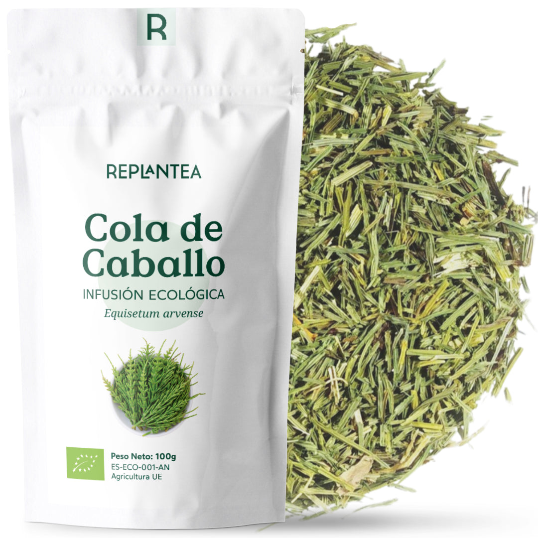 Infusão de Cavalinha Orgânica 100g