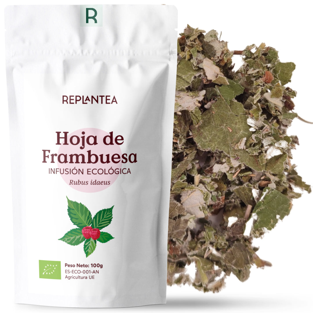 Infus o de Folha de Framboesa Org nica 100g